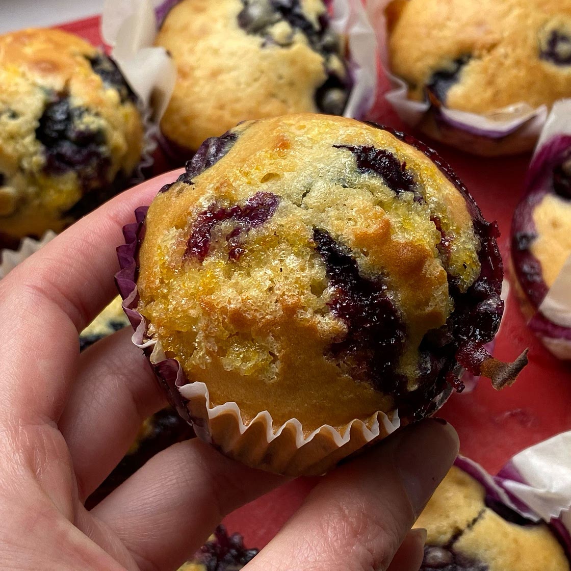 Easy, Delicious Blueberry Muffins with Greek yogurt