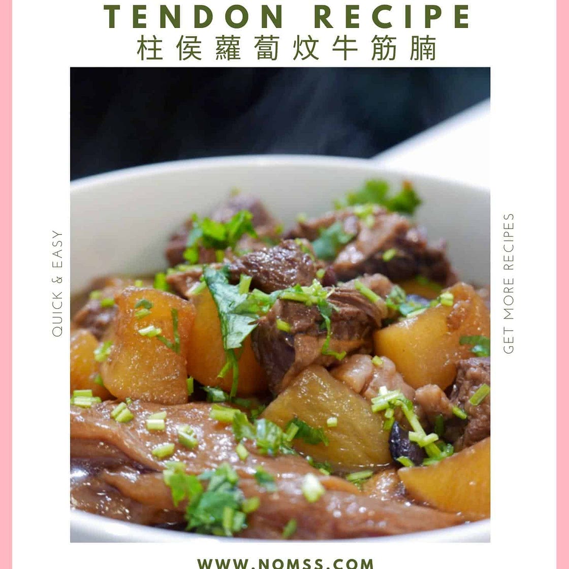 Chinese Braised Beef Brisket and Tendon Recipe 柱侯蘿蔔炆牛筋腩
