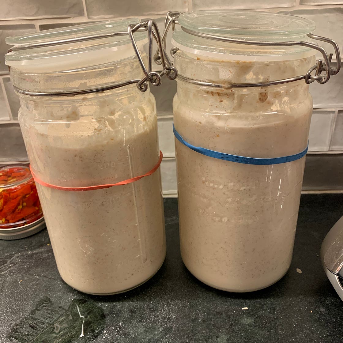 Sourdough Starter