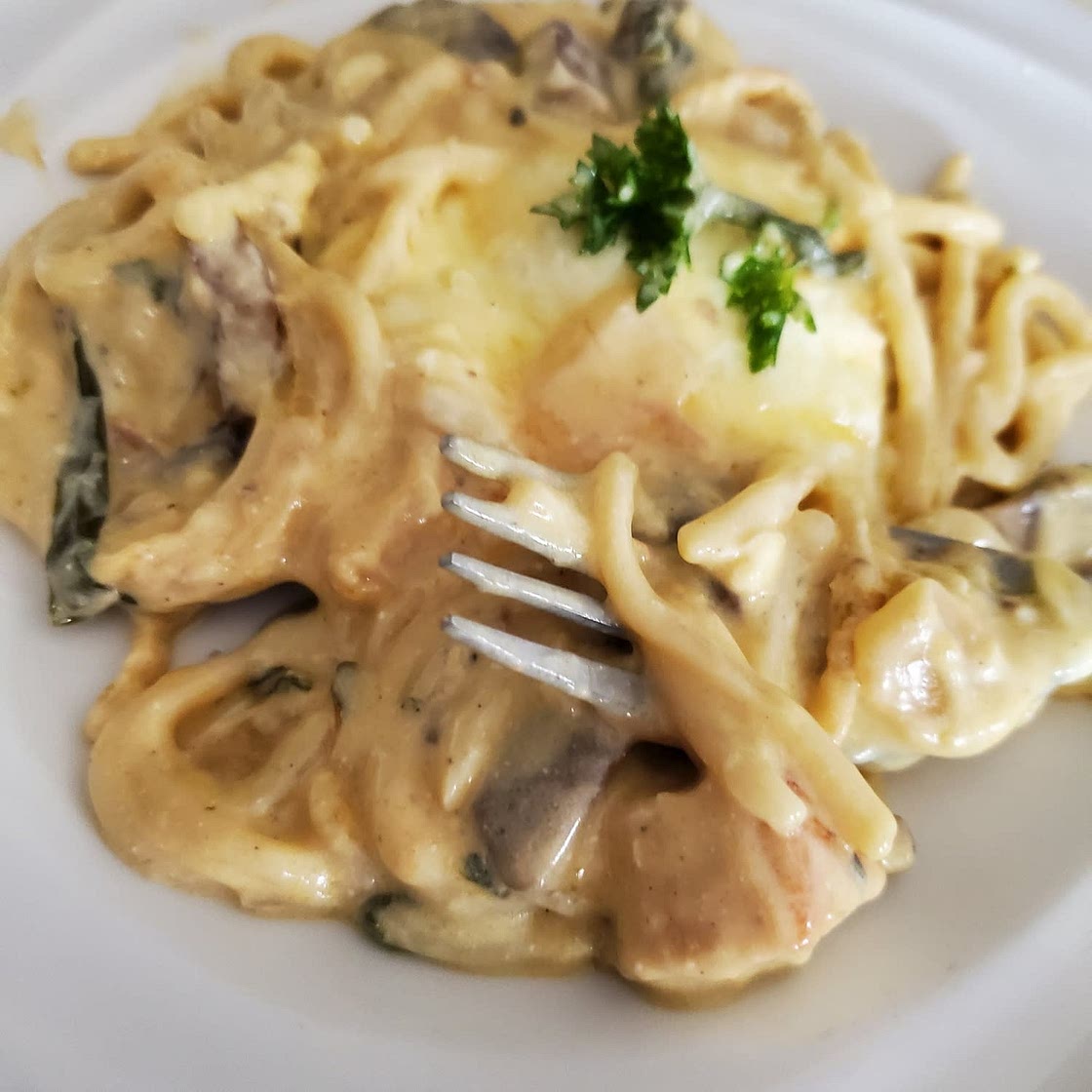 Chicken Tetrazzini
