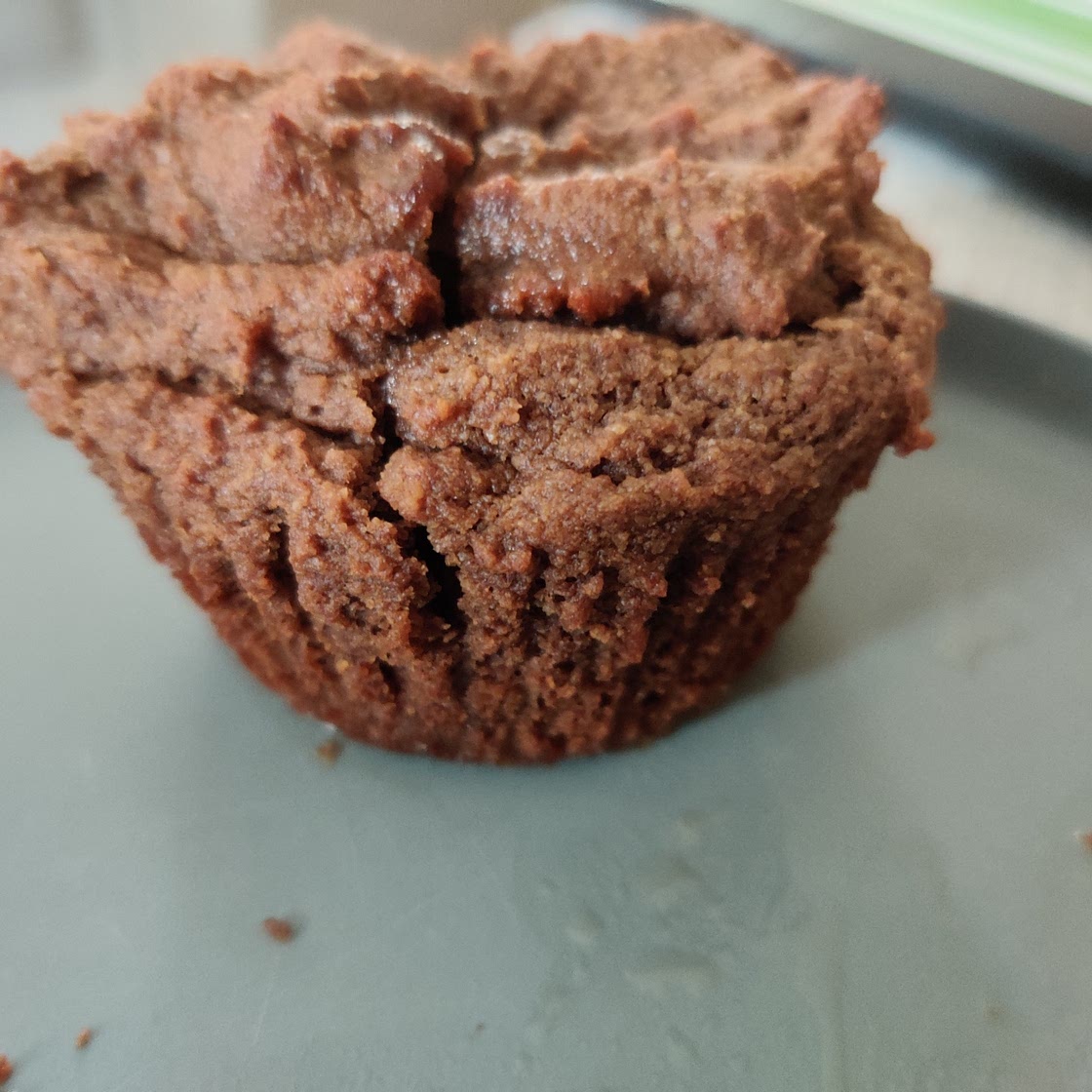 Low Carb Chocolate Muffins