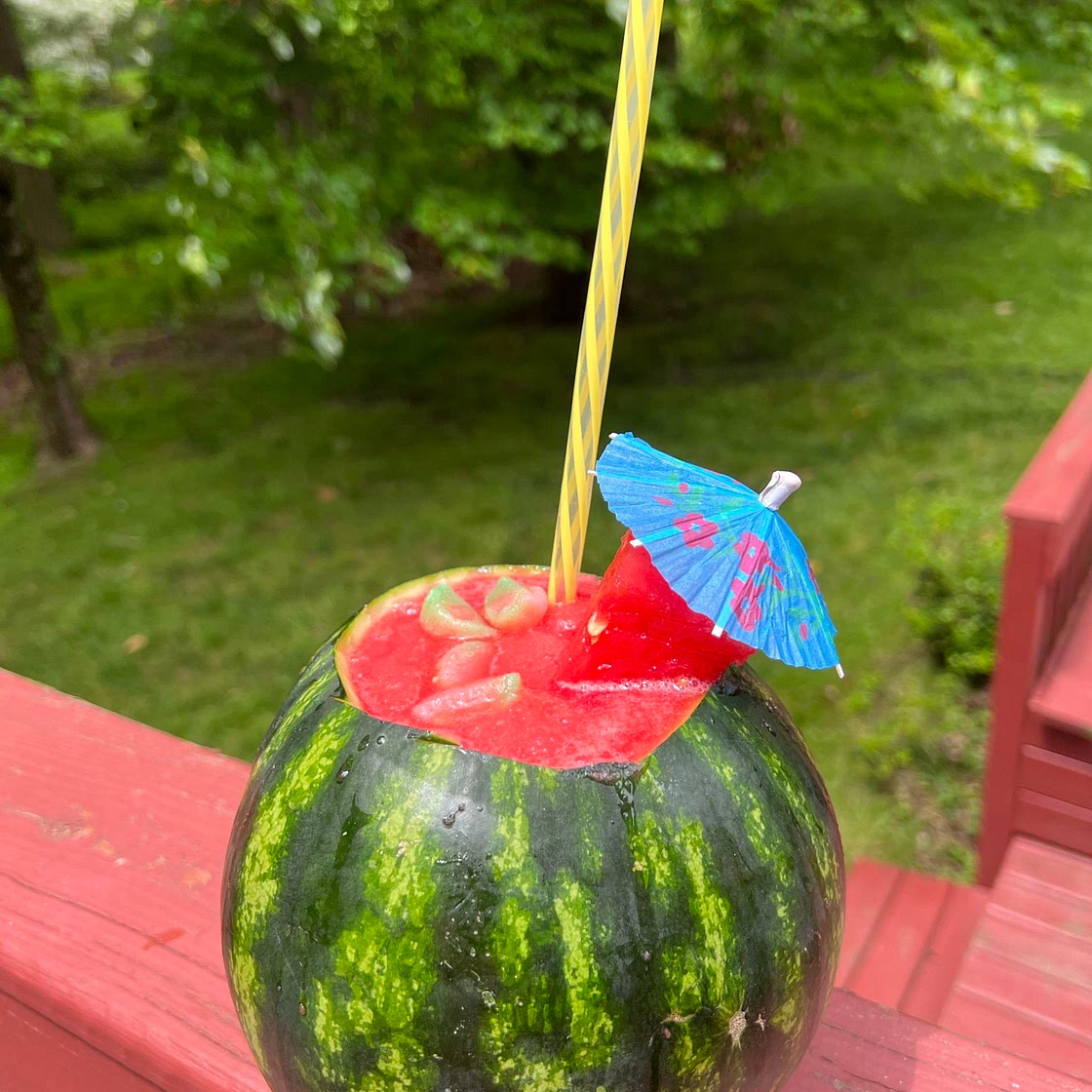 Boozy Watermelon Slushie