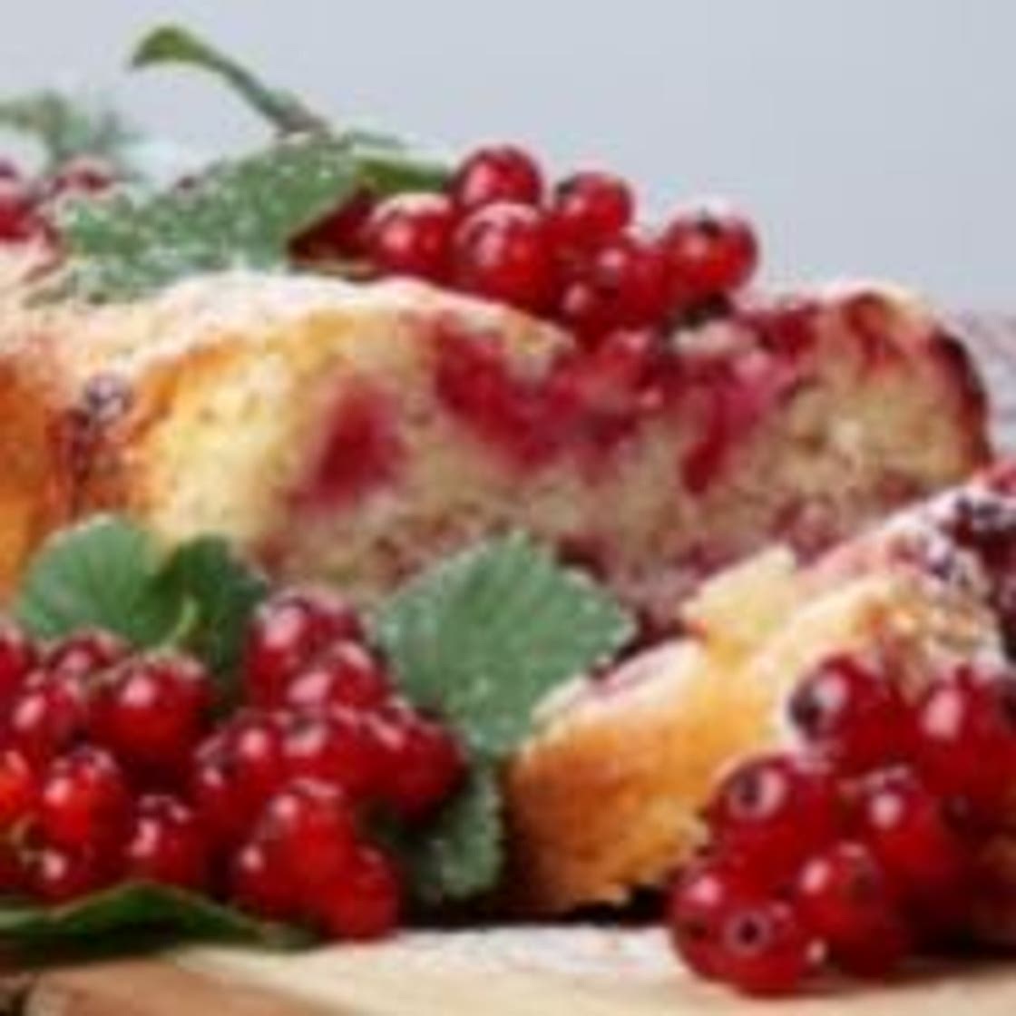 Red currant sponge cake