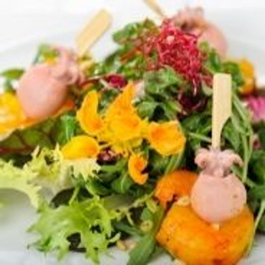 Salad with baby squid