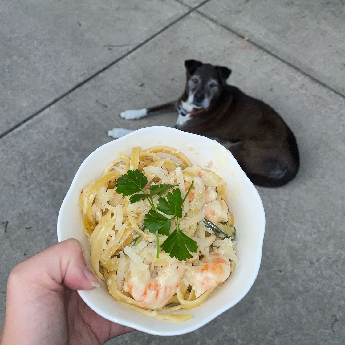 Shrimp Alfredo