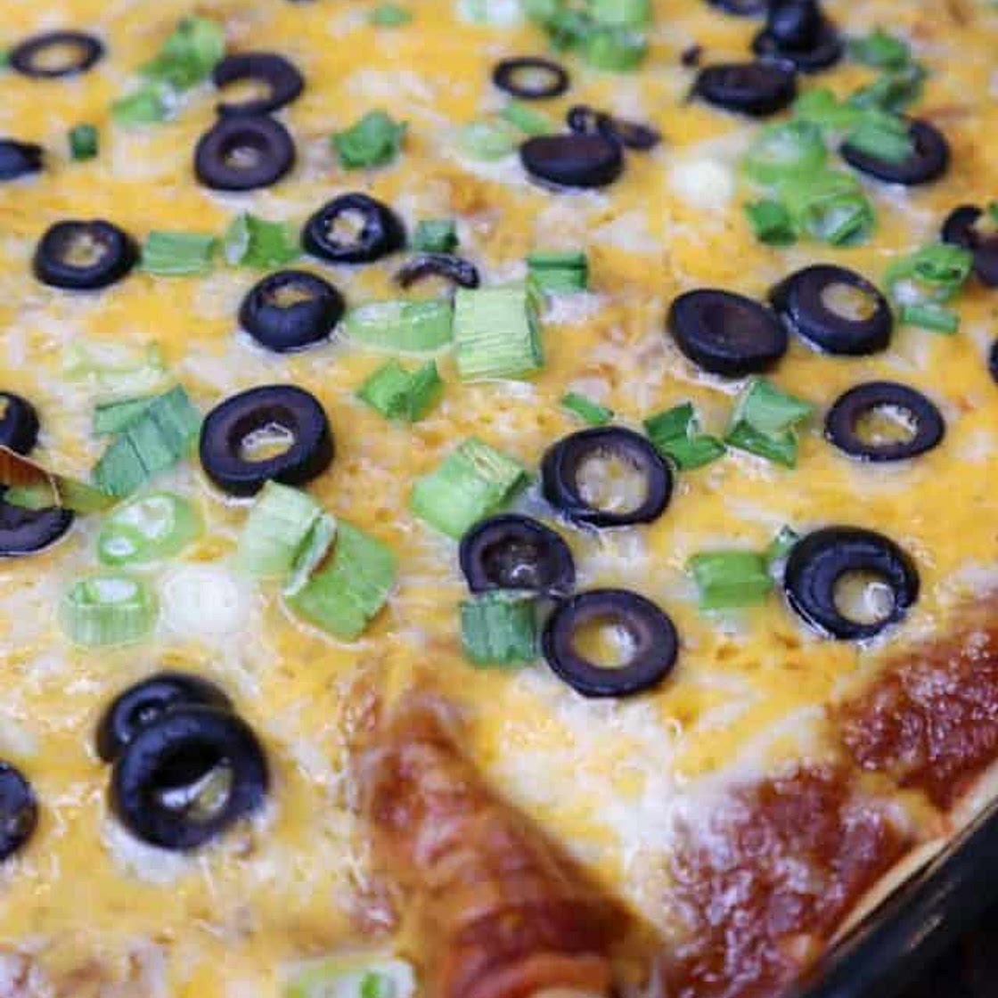 Baked Chicken Enchiladas ~ The Recipe Bandit