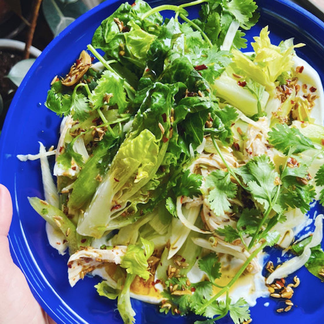 Spicy Chicken Salad with Toasted Fennel and Celery — Alison Roman