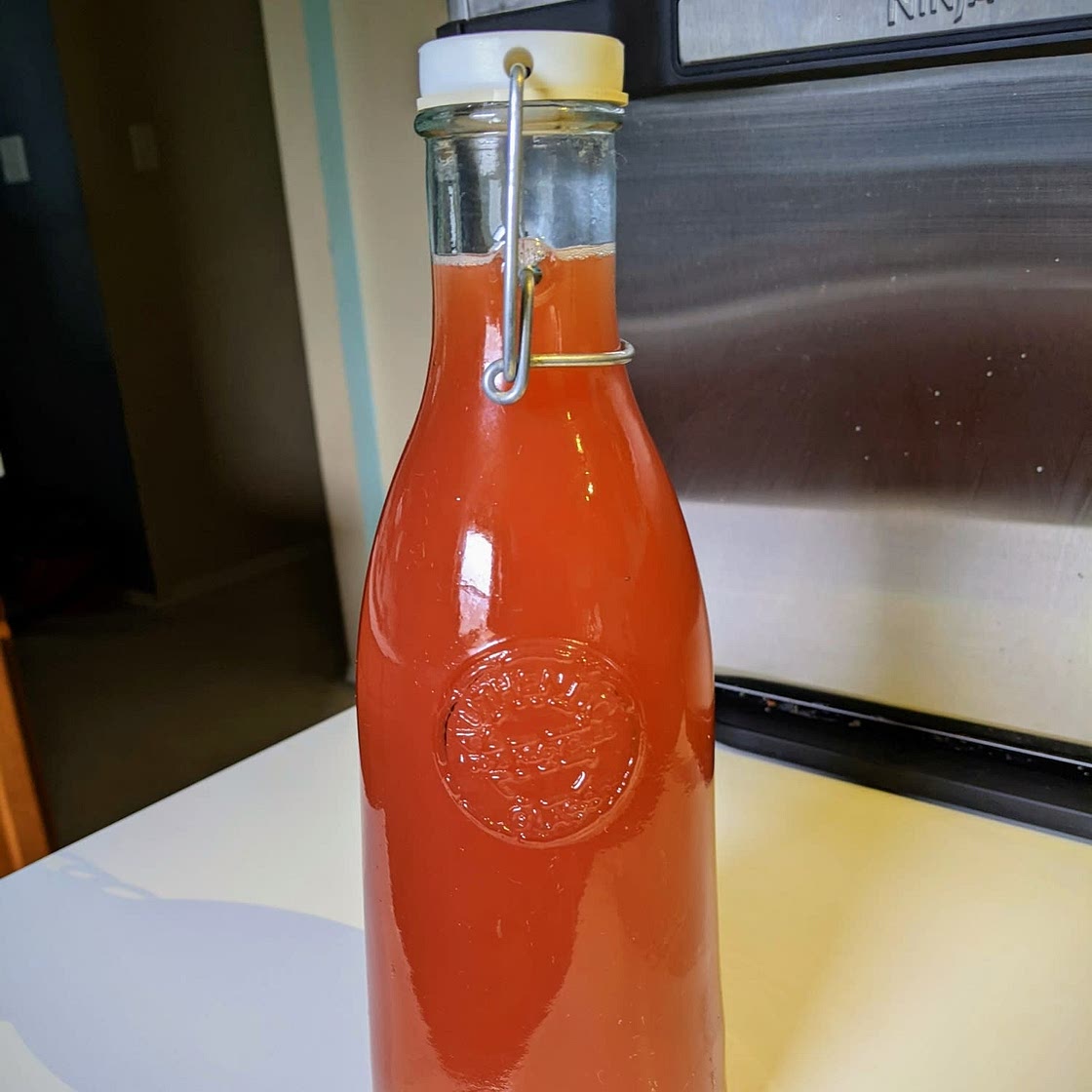 Home-fermented strawberry vinegar — Hip Girl's Guide to Homemaking