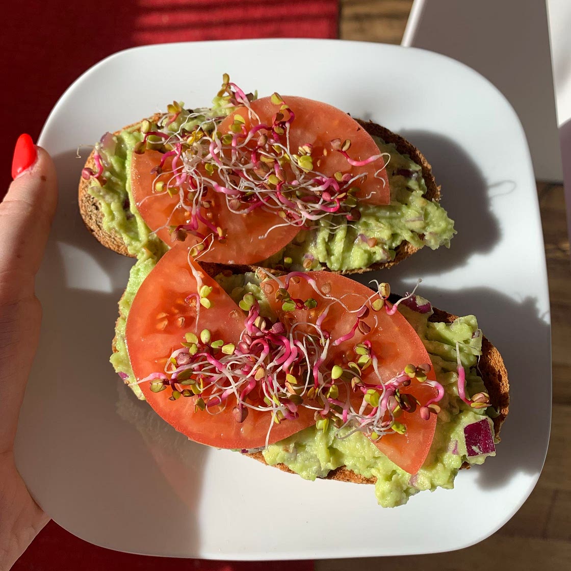 Toast with avocado, tomatoes and sprouts