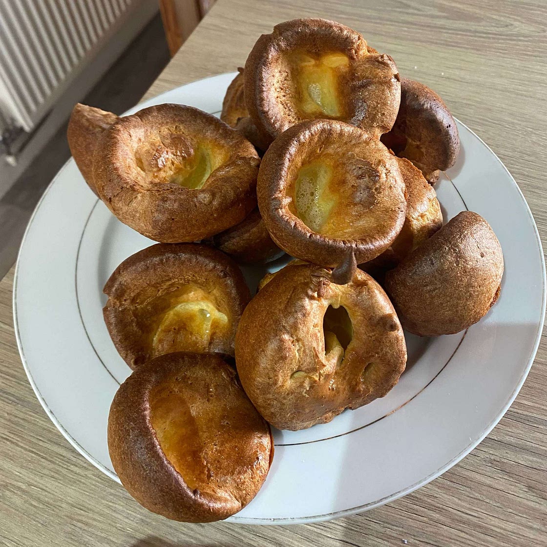 Amazing Yorkies