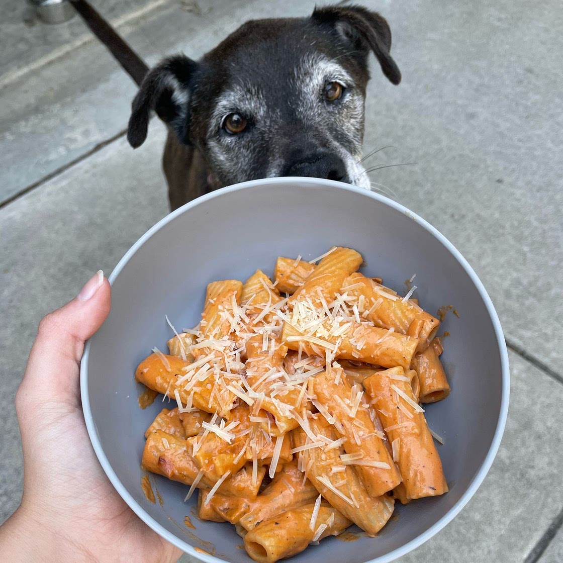 Easy Spicy Rigatoni Recipe