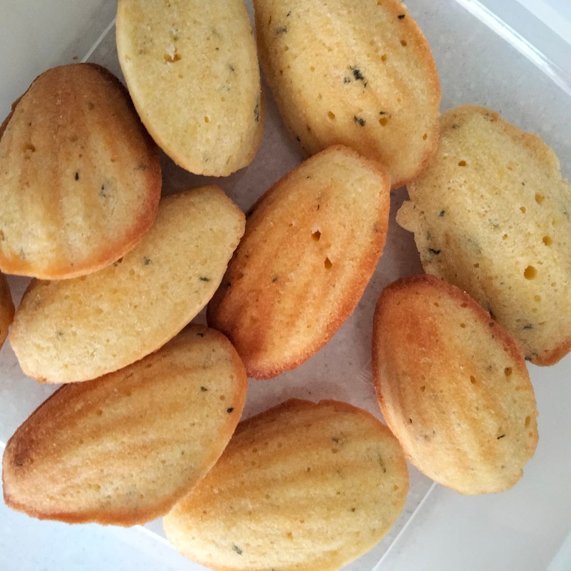 Lemon thyme Madeleines