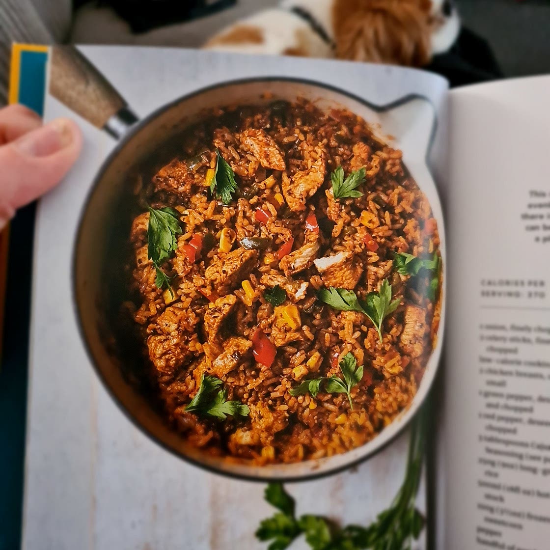 Cajun chicken rainbow rice