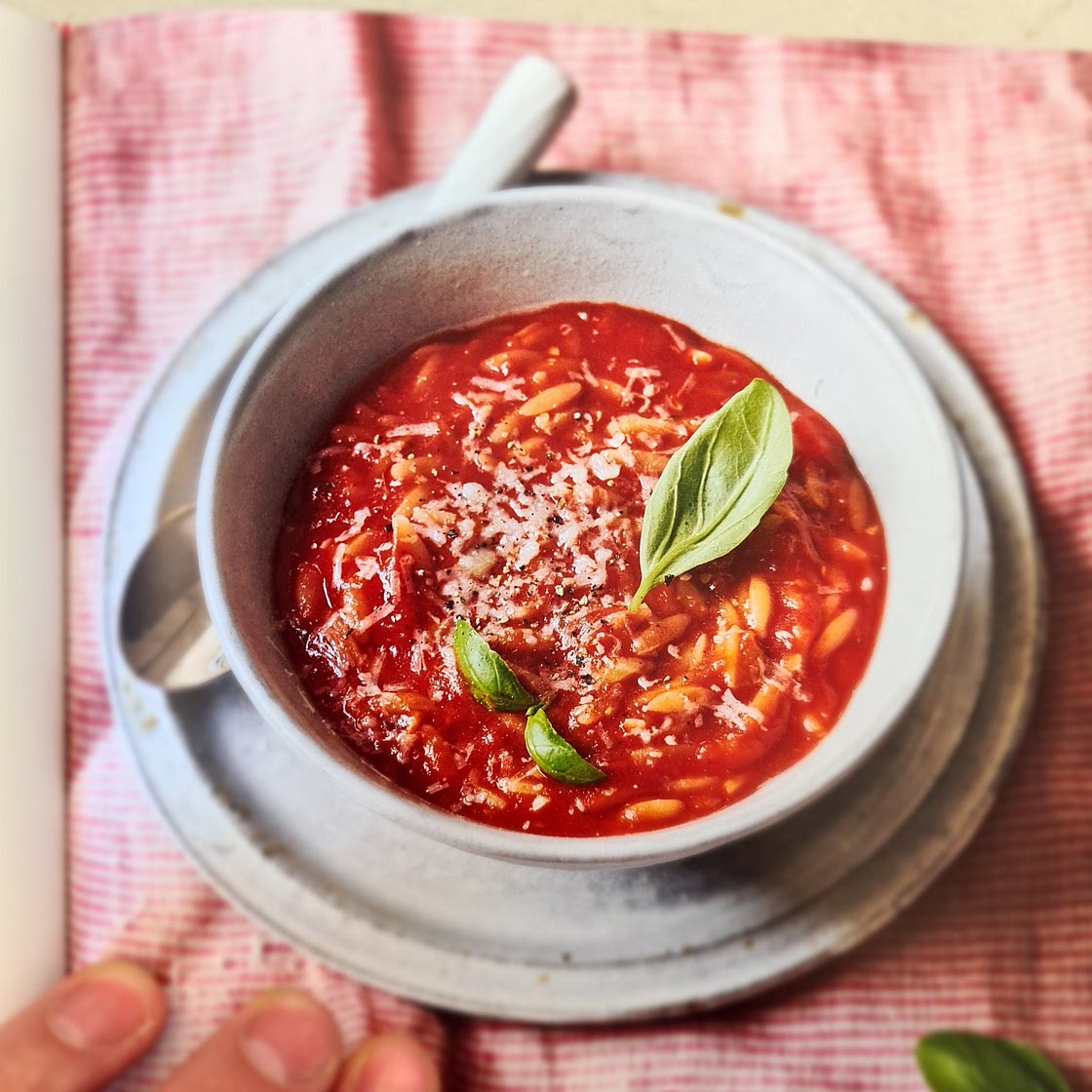 ARRABBIATA ORZO SOUP