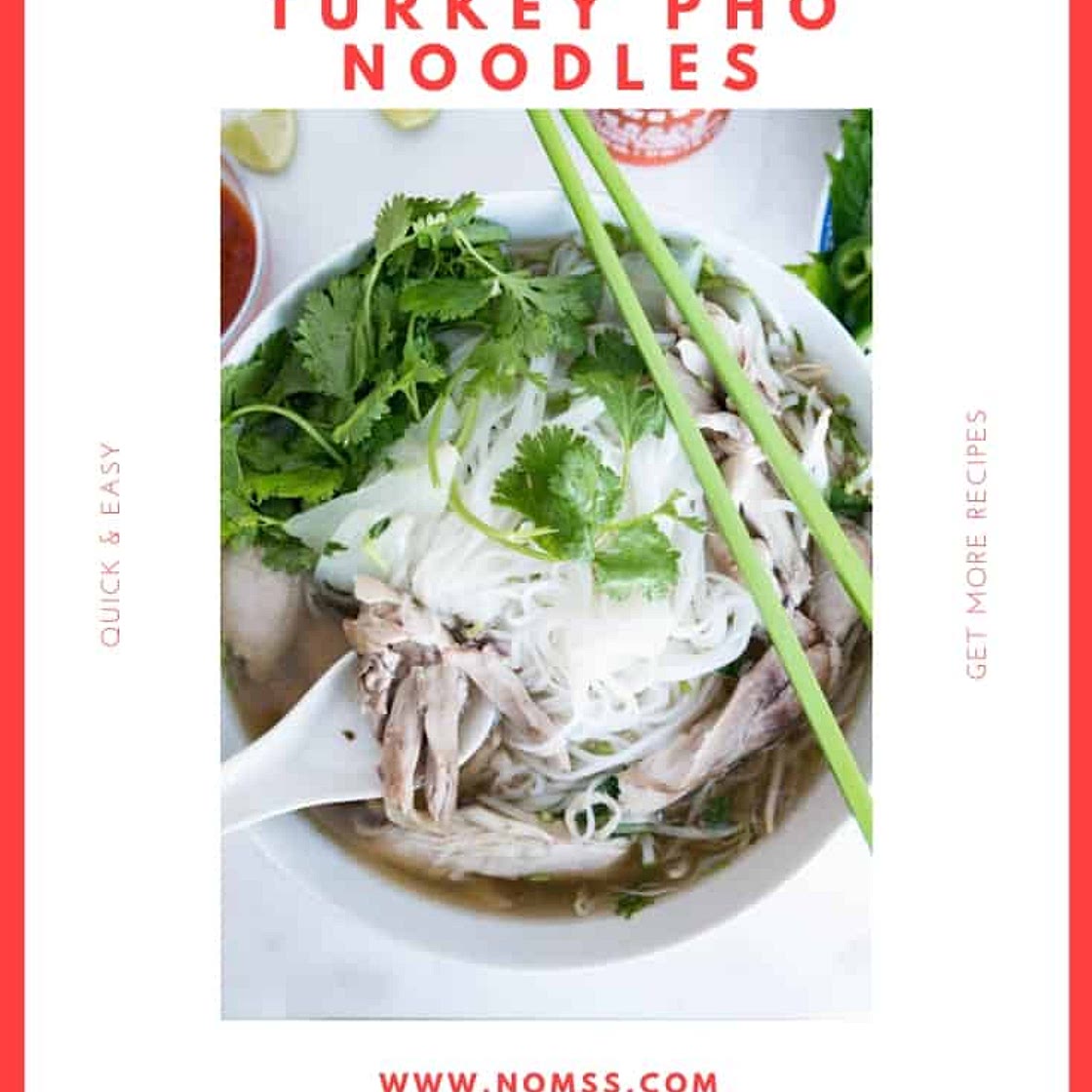 Instant Pot Turkey Pho Recipe