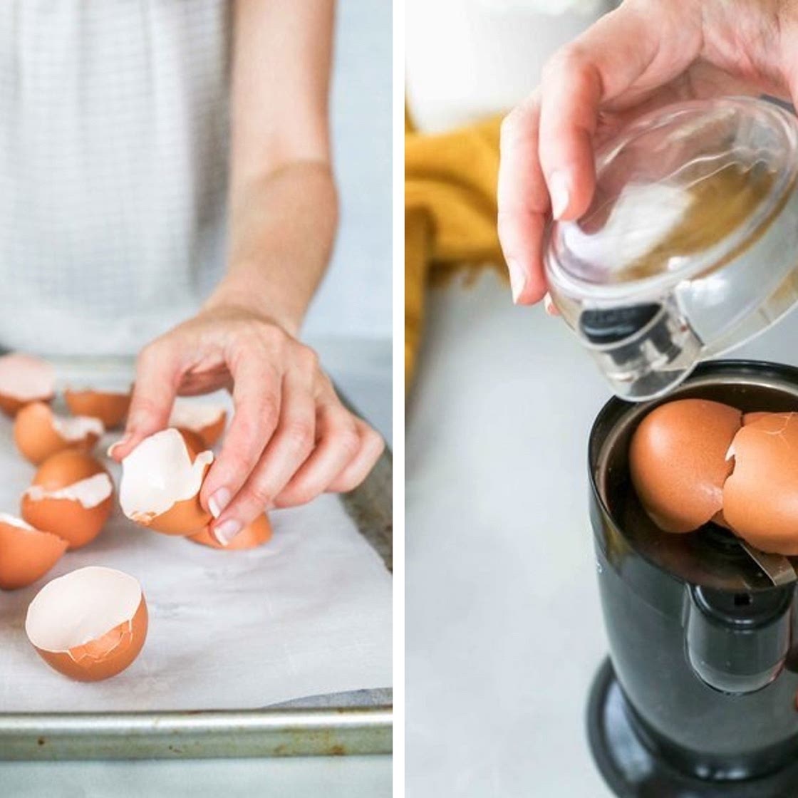 Egg shell calcium 