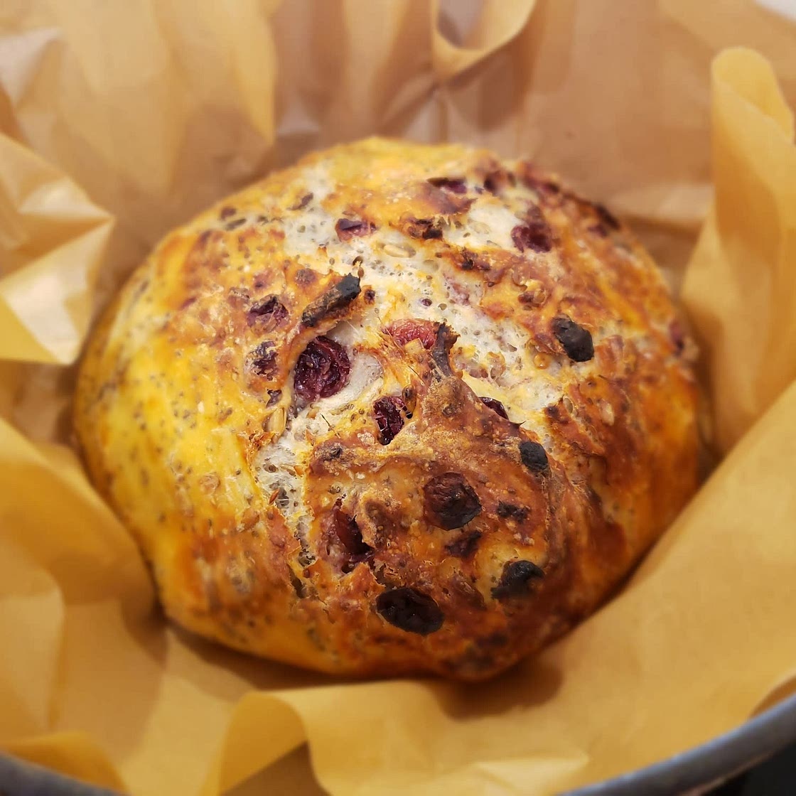 Crusty Cranberry Nut No Knead Bread