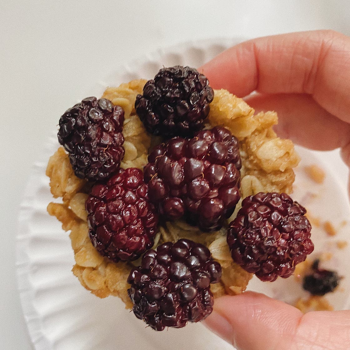 Mini Blackberry Crisps