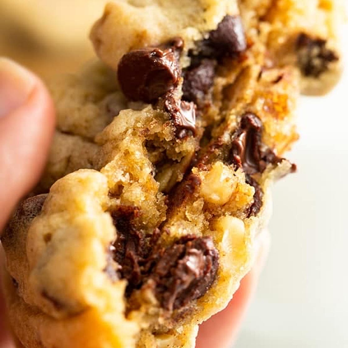 Double Tree Cookies