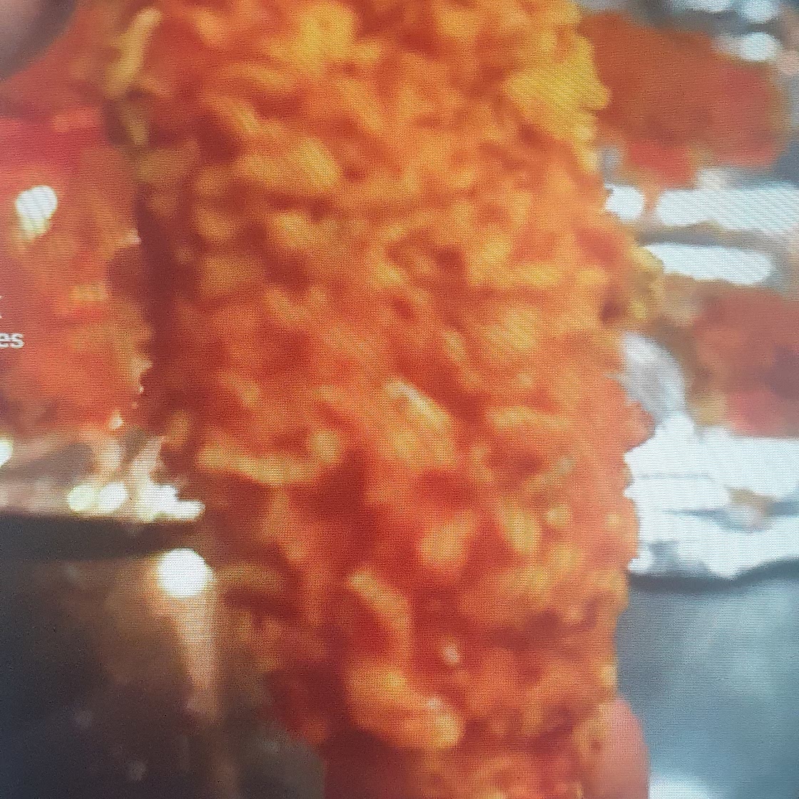 Honey Buffalo Chicken Strips