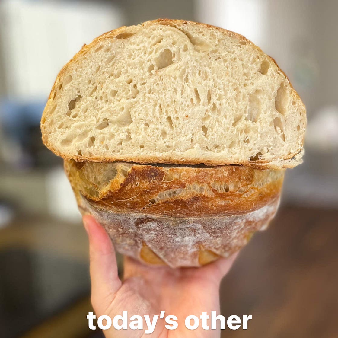 Sourdough Bread