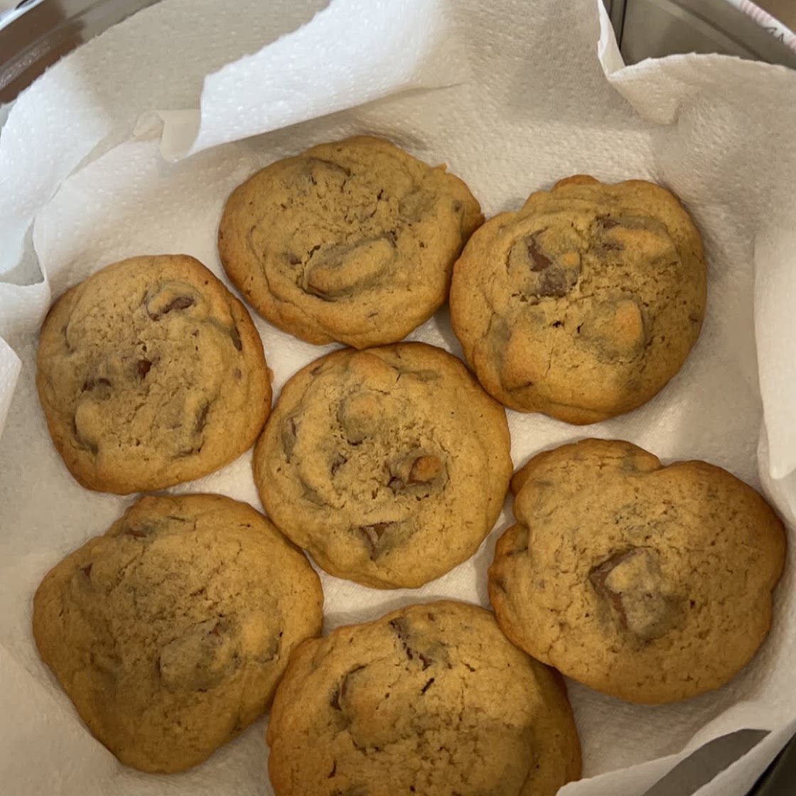 Chocolate Chunk Cookies