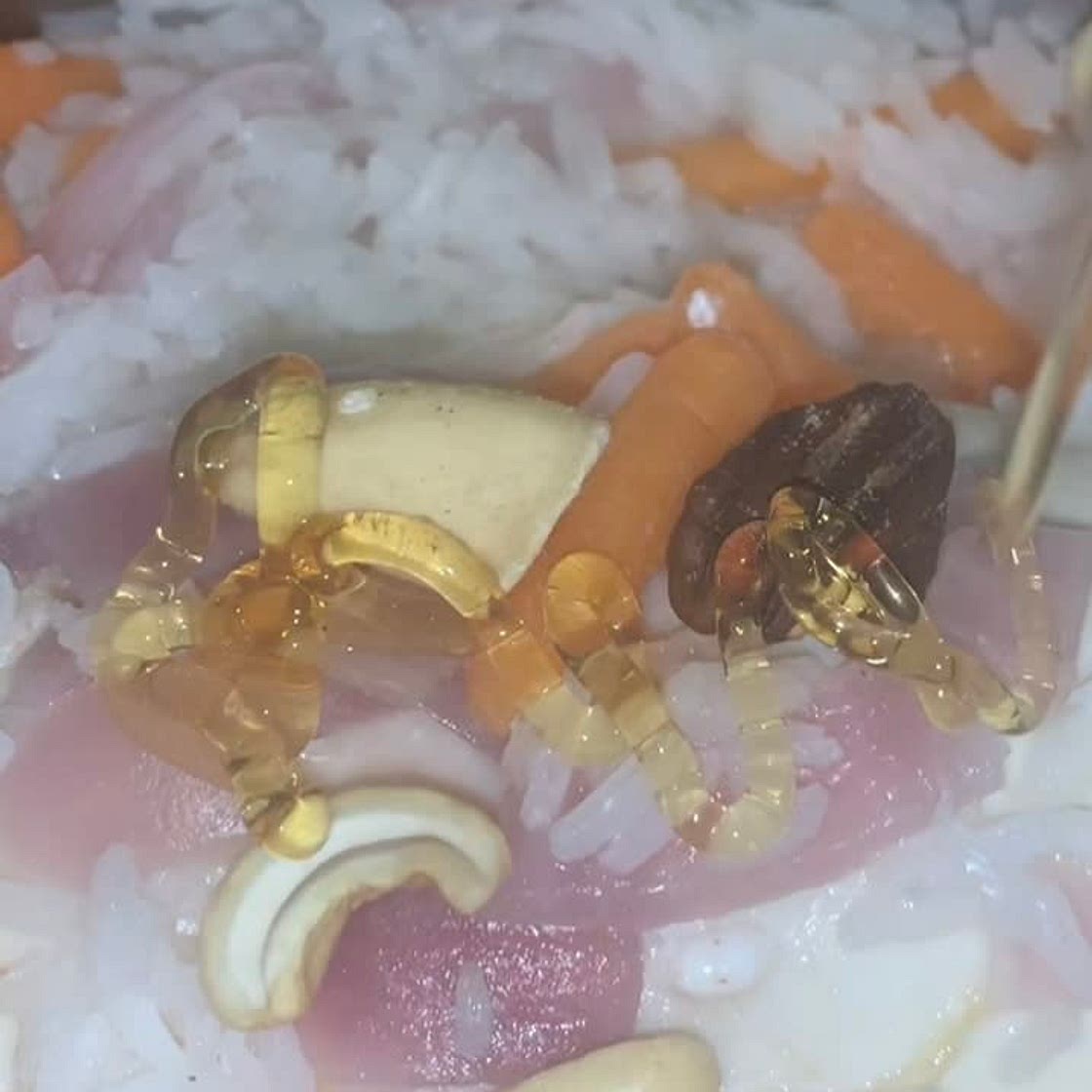 Chicken rice bowl