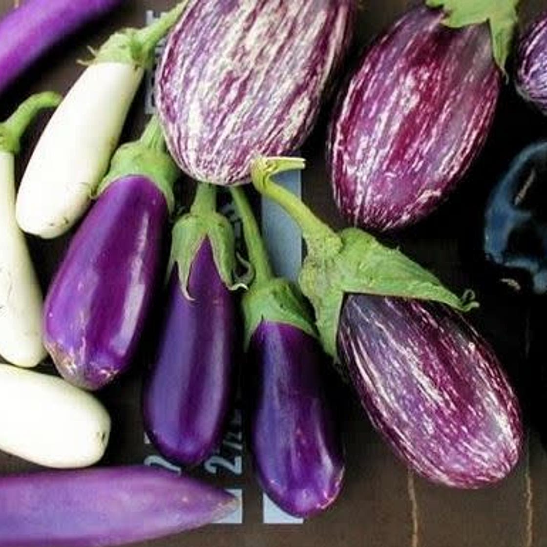 Caserecci alle melanzane