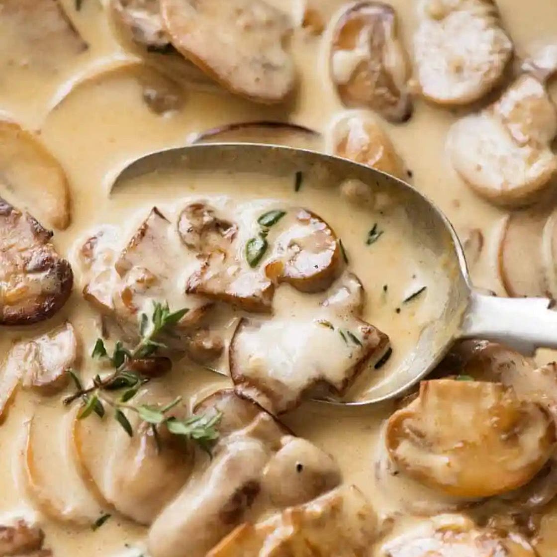 Mushroom Sauce