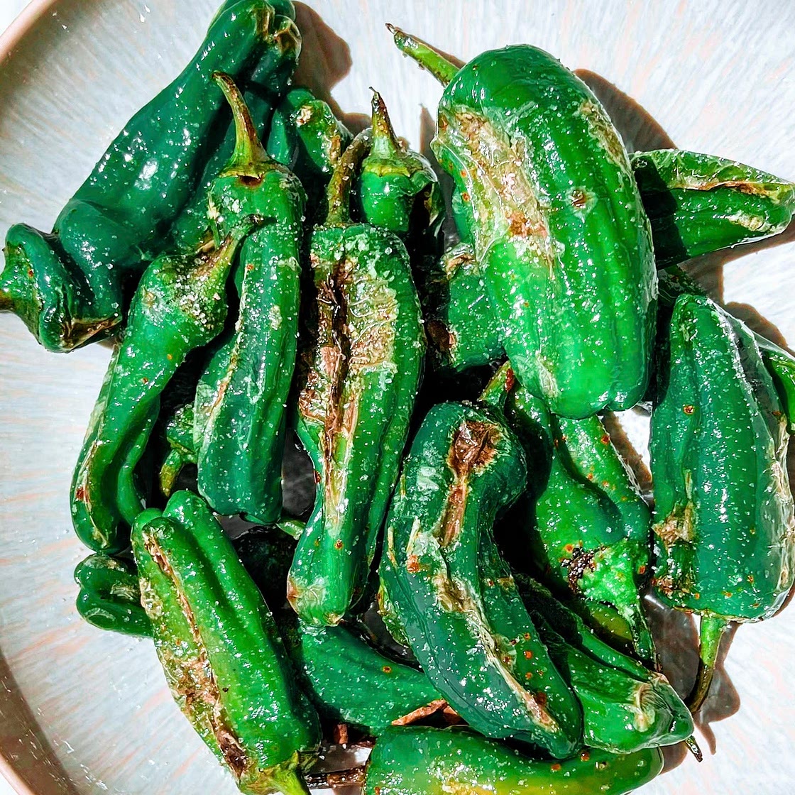 PIMIENTOS DE PADRÒN