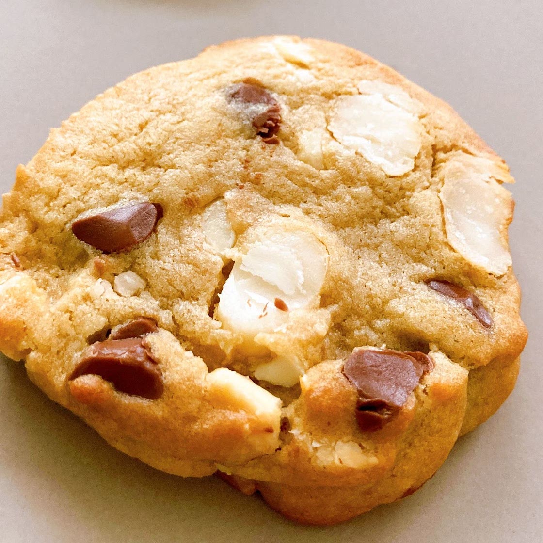 Chocolate Chip Macadamia Nut Cookies