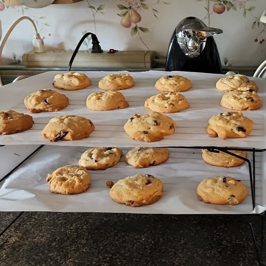 Cranberry Honey Cookies