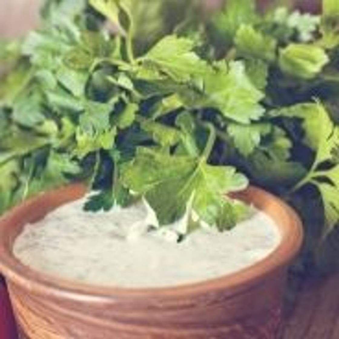 Sour cream sauce and chives