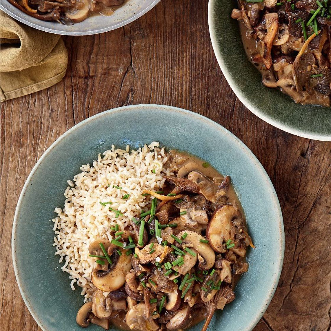 MUSHROOM STROGANOFF