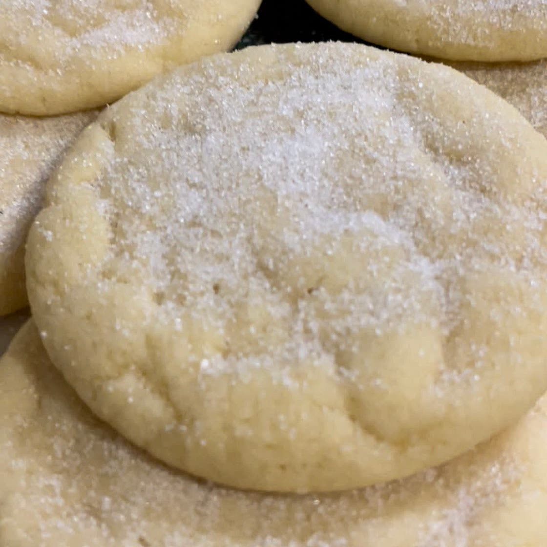 Sugar Cookies 