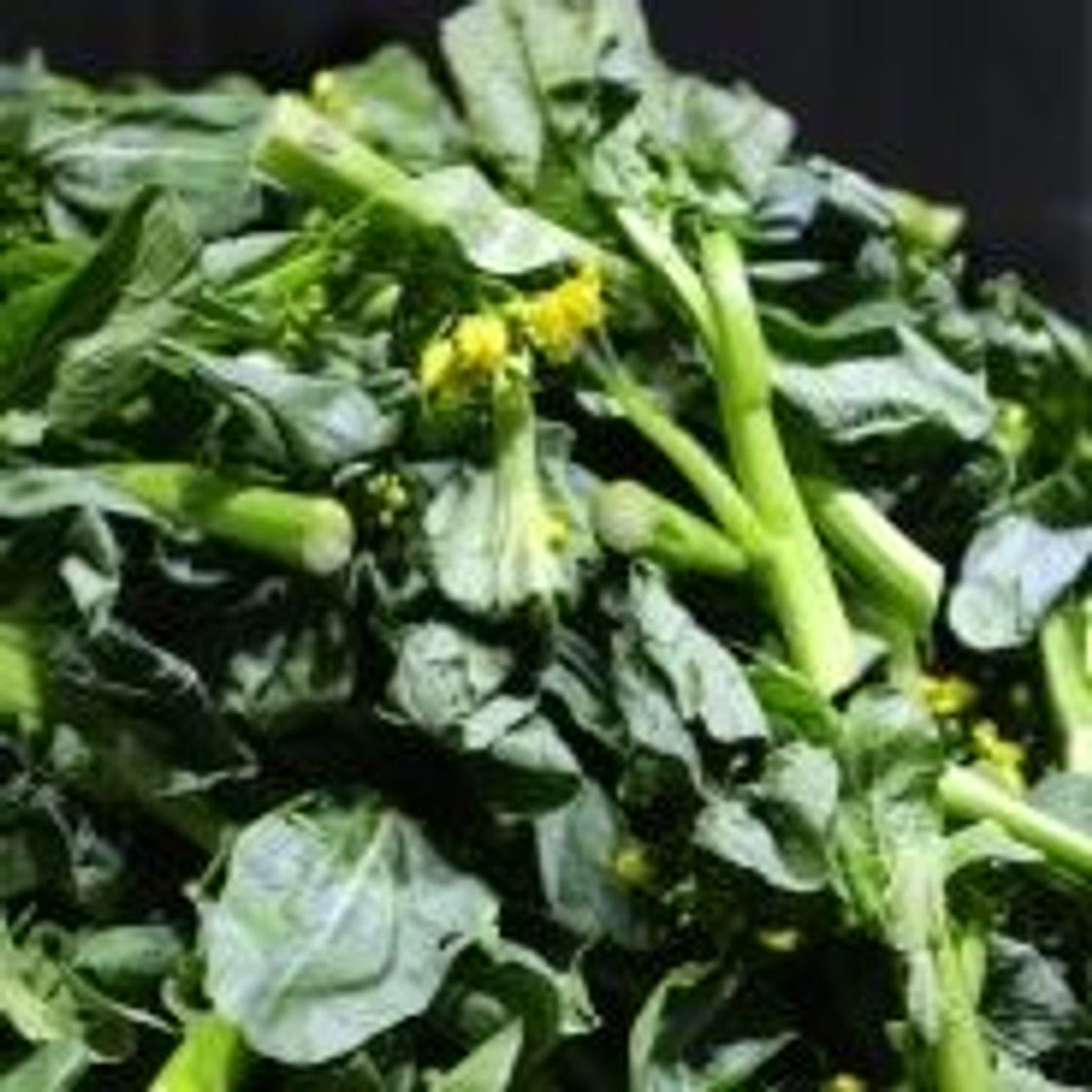 Choy sum (Chinese vegetable) and tofu in garlic sauce