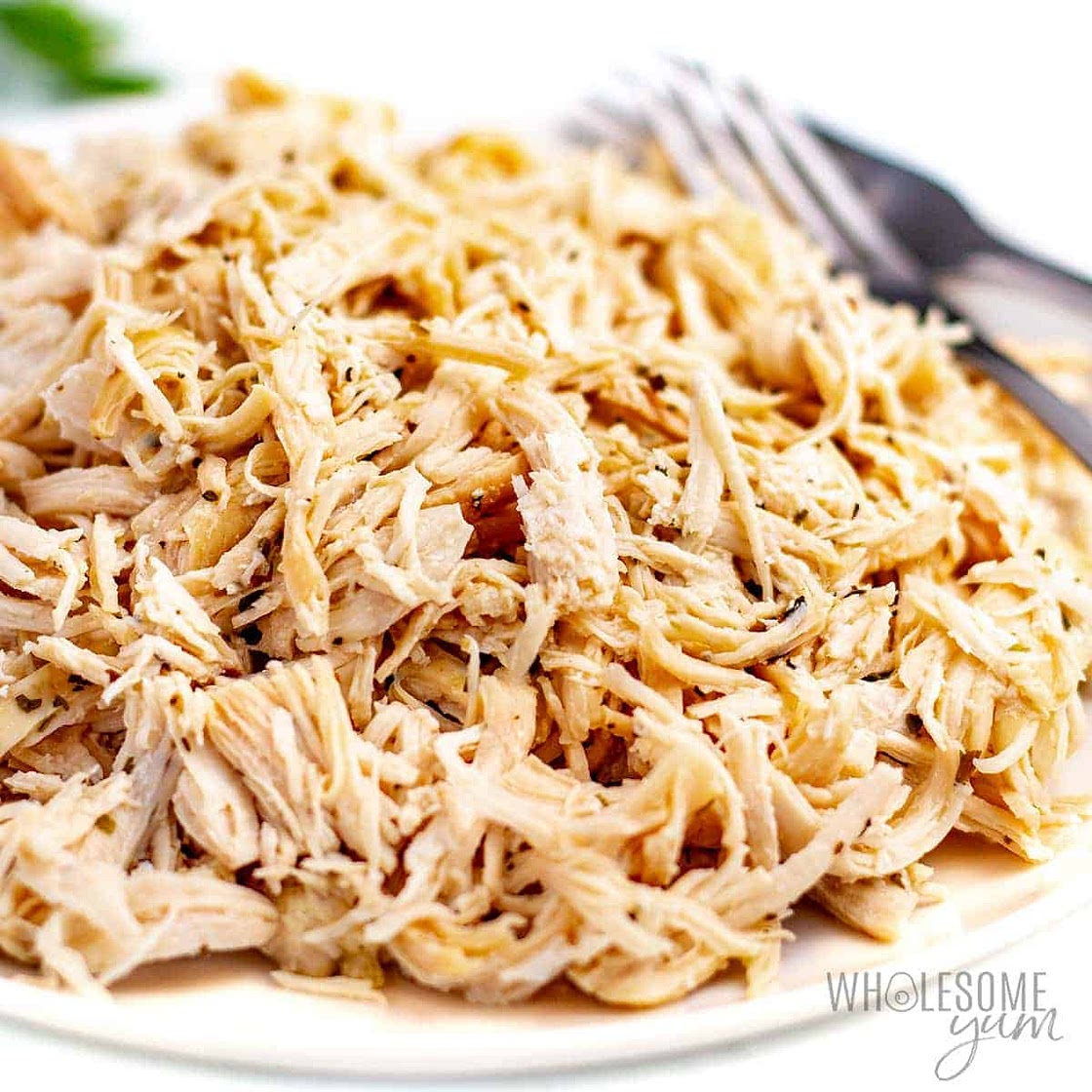 Instant Pot Shredded Chicken Breast (Fast!)
