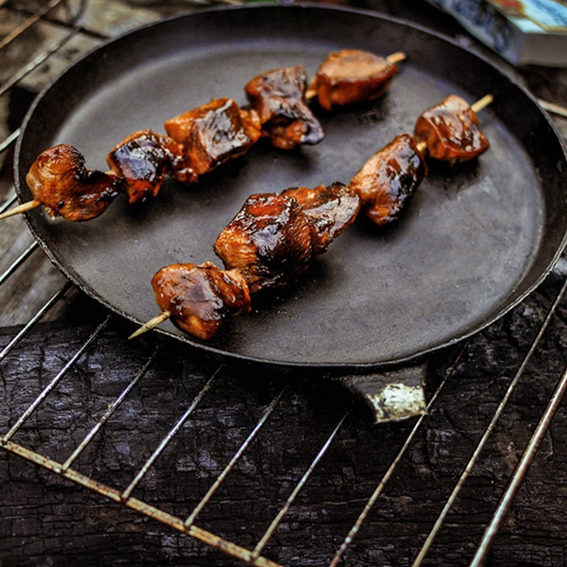 Iguana bits from Fallout, chicken shashliks marinated with cola