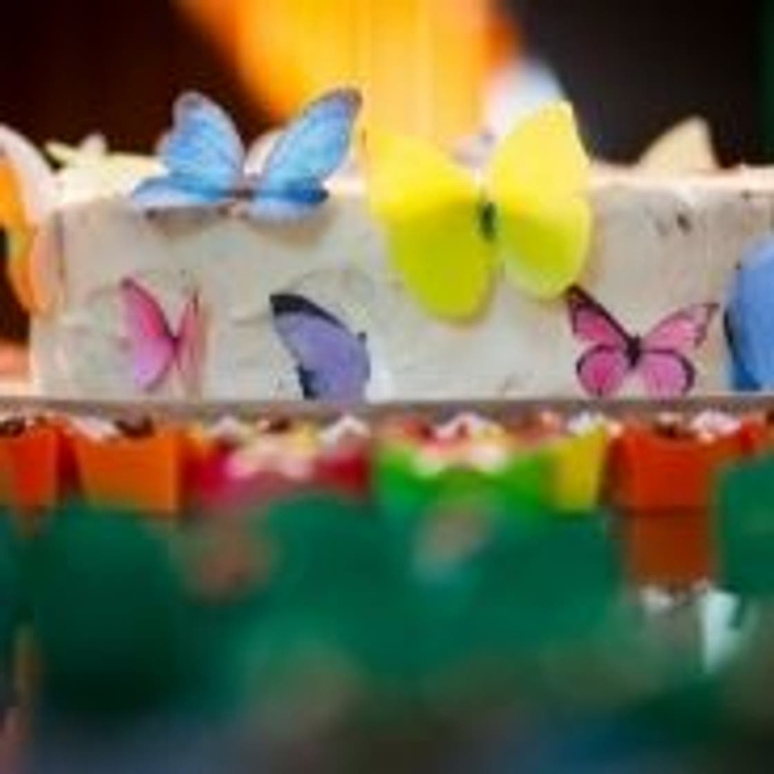 Butterfly cake