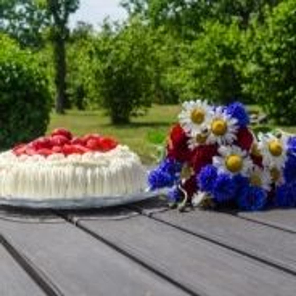 Strawberry garden cake