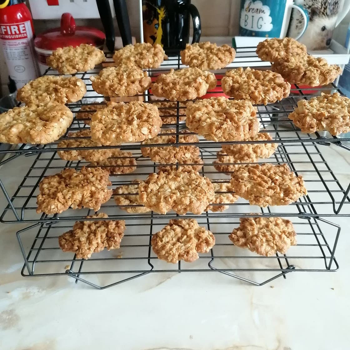 Hobnobs