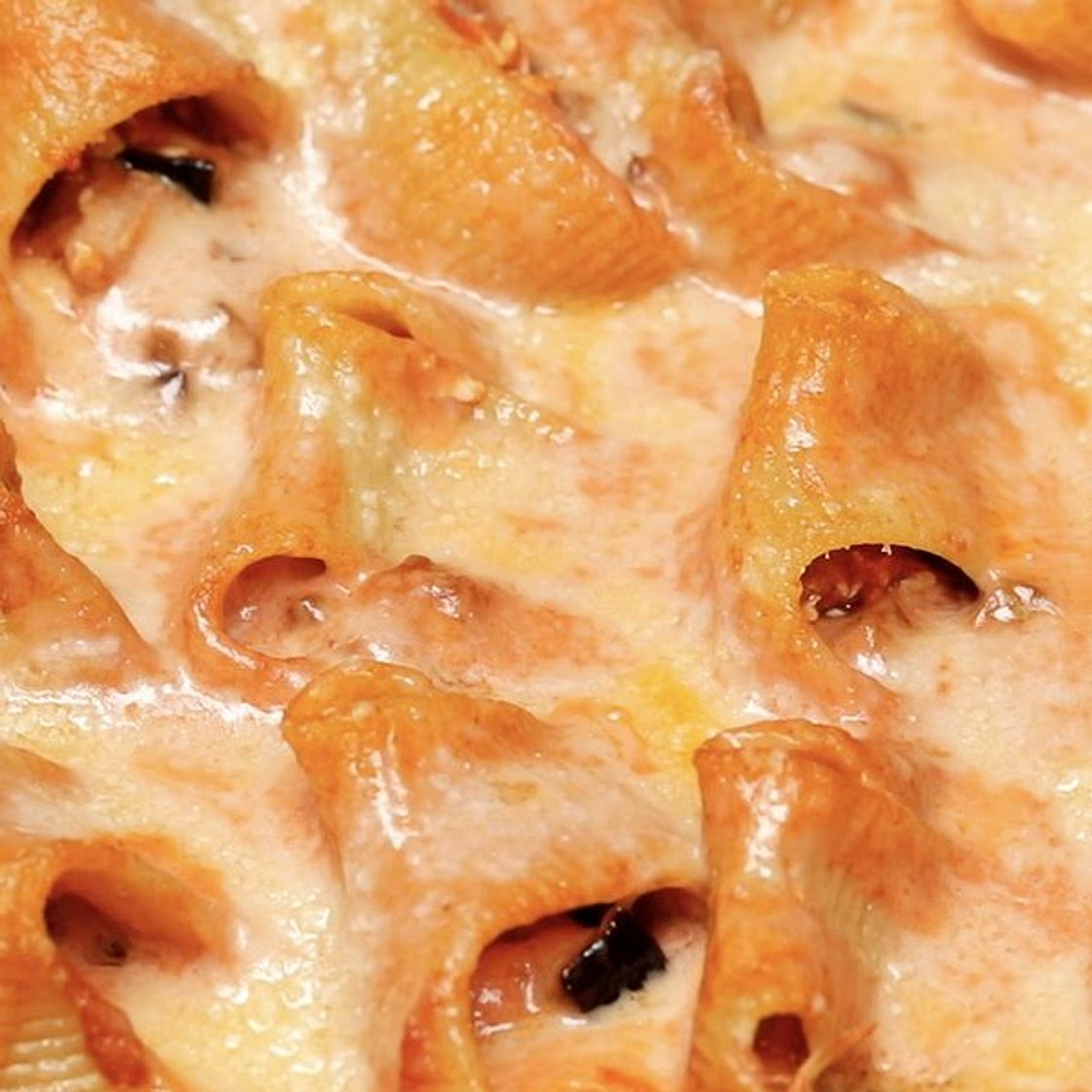 Conchiglioni alla Norma