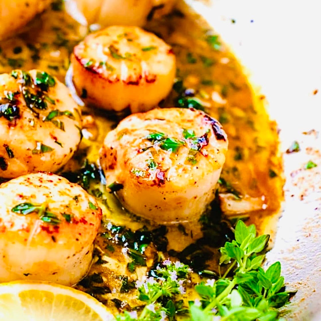 Sea Scallops with Herb & Lemon Sauce