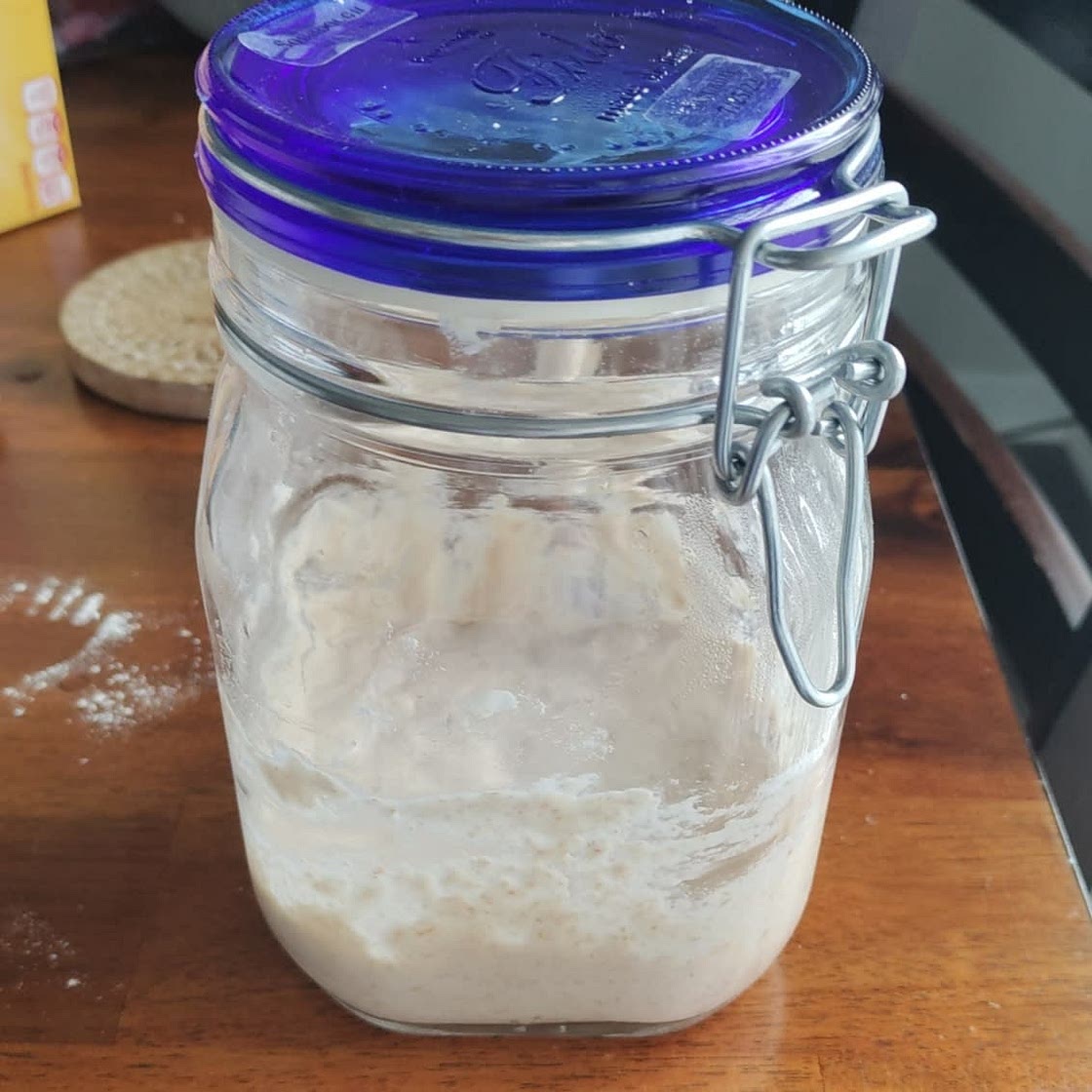 Beginner Sourdough Starter Recipe