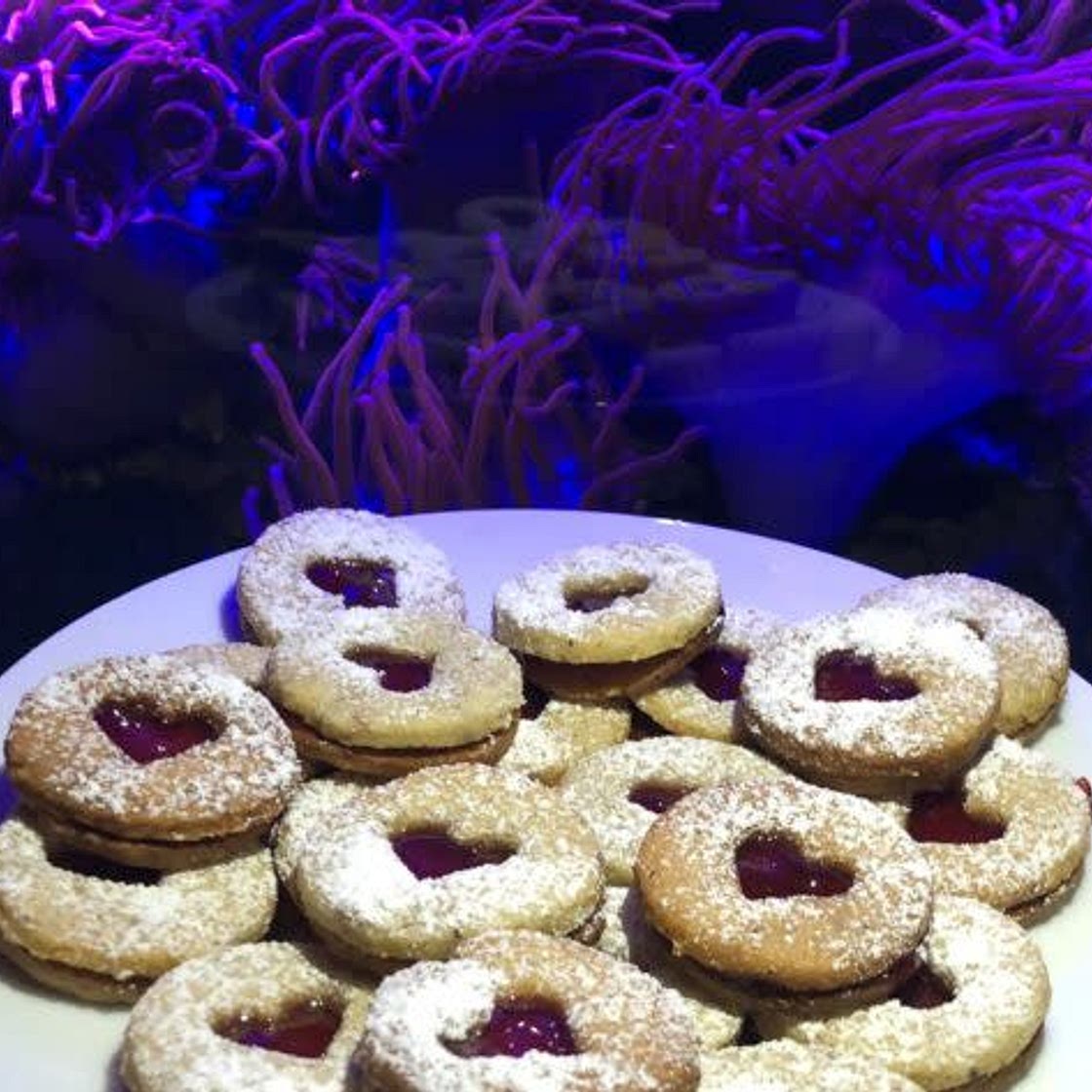 Weihnachtliche Plätzchen – Spitzbuben mit Marmelade