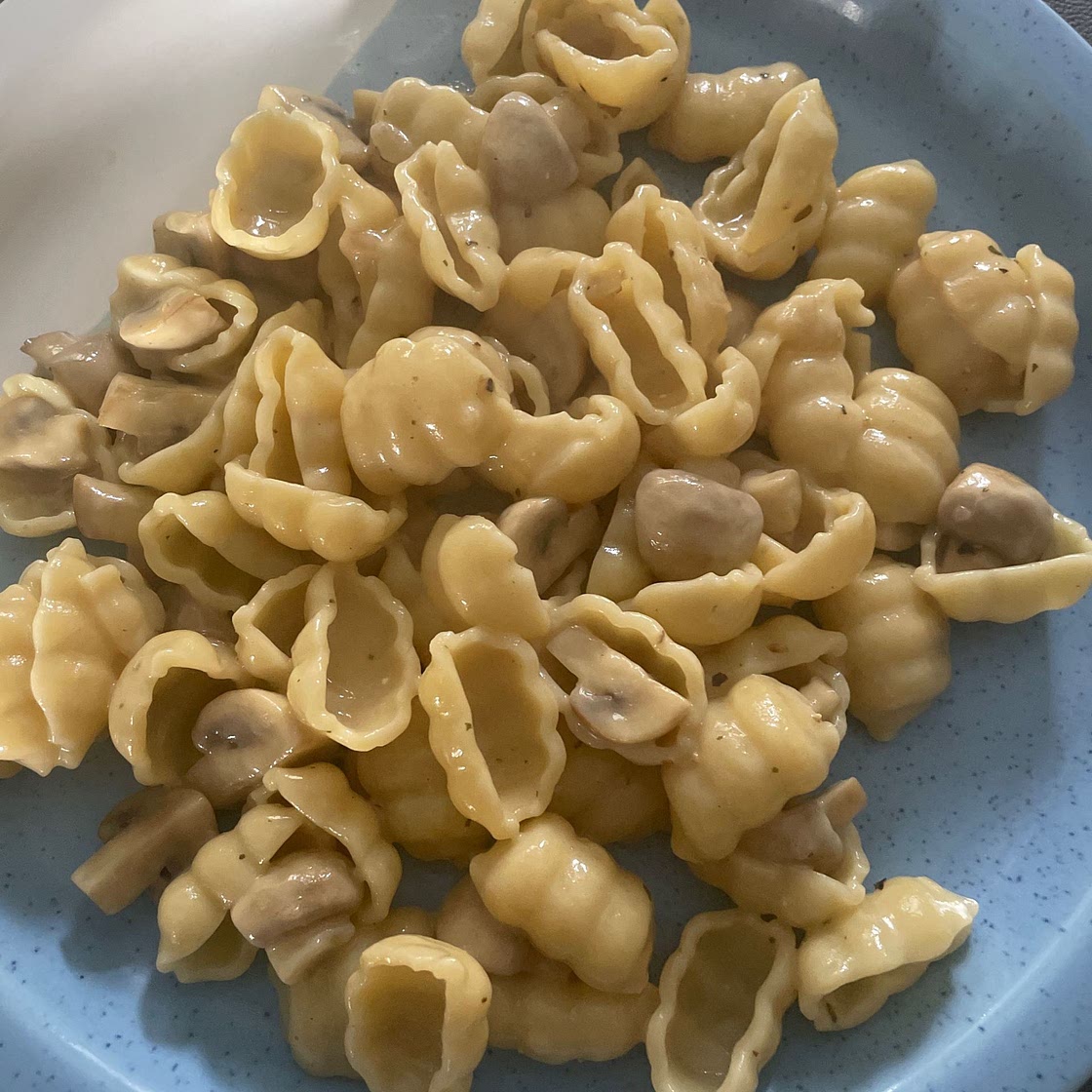 Mushroom Stroganoff