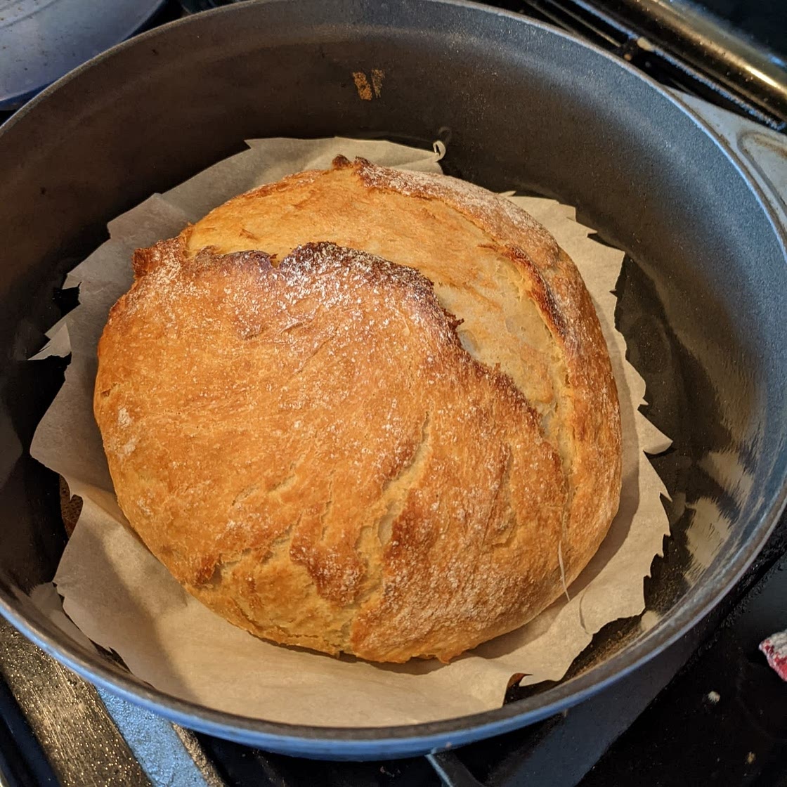 No Knead Bread (Dutch Oven Bread)