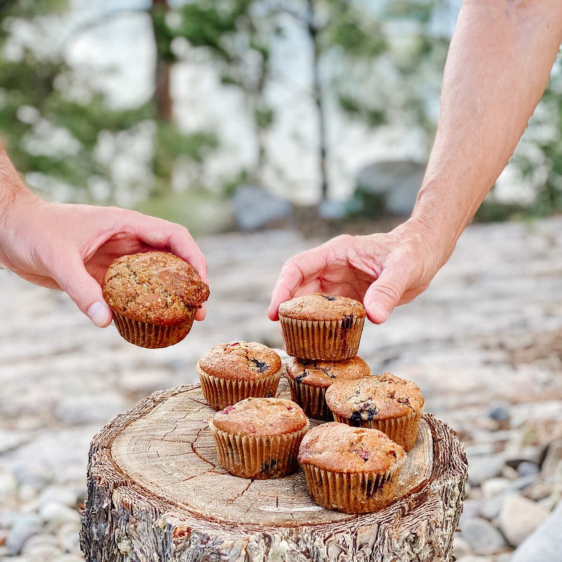 Rise and Shine Muffins (gf & vegan)