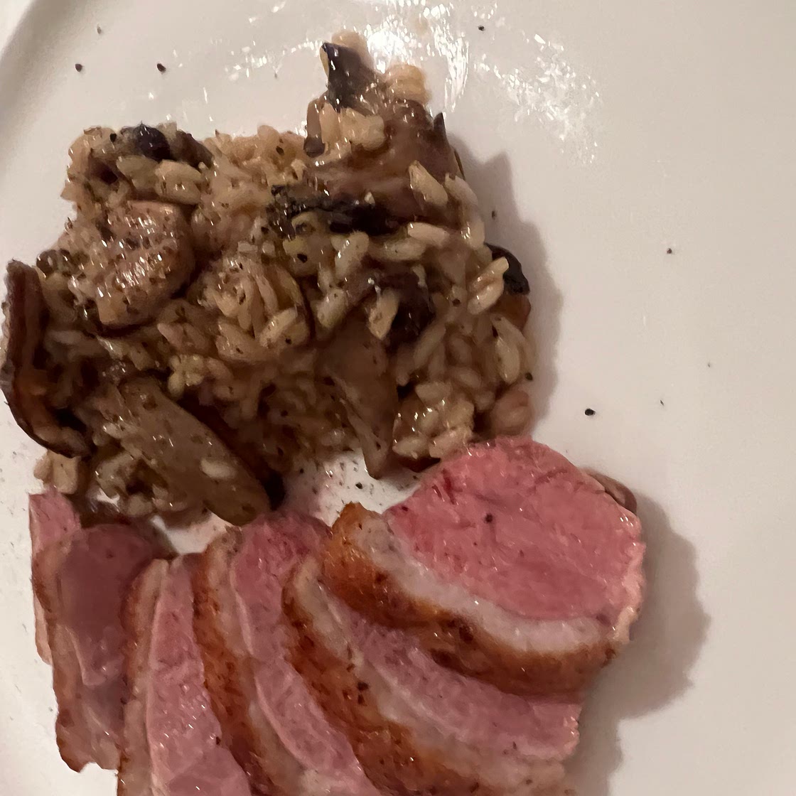 Gourmet Mushroom Risotto