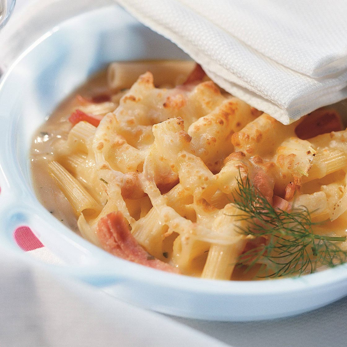 Nudel-Fenchel-Gratin